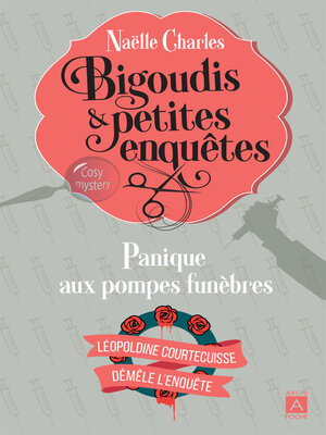 cover image of Bigoudis et petites enquêtes **